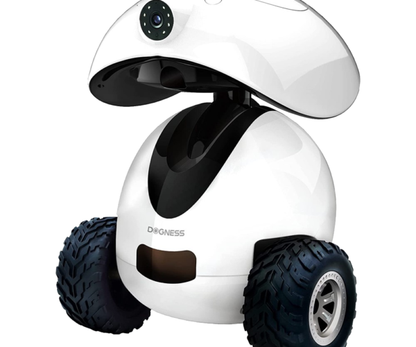 robot inteligente, smart robot, robot movil